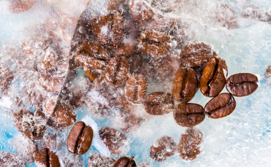 Can You Freeze Coffee Beans? The Right Way vs Wrong Way