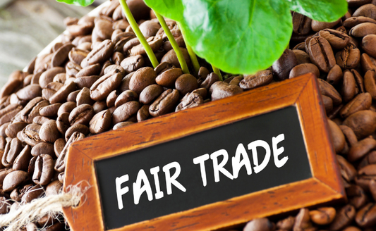 Fair Trade Coffee Beans: Brewing a Better World
