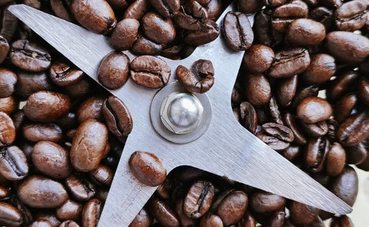 How to Grind Coffee Beans Without a Grinder: 5 Easy Methods