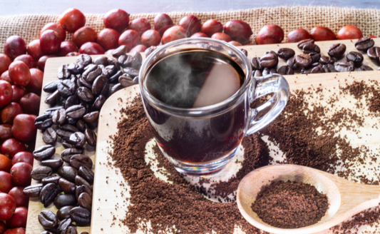 Where Do Coffee Beans Come From? From Farm to Cup