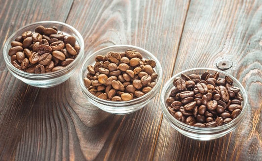 The Types of Coffee Beans That Will Elevate Your Coffee Experience