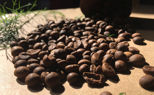 How to Choose the Best Coffee Beans Australia for the Perfect Roast