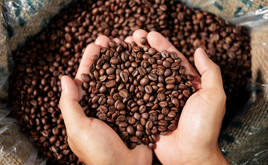 How to Keep Coffee Beans Fresh: 10 Pro Tips for Long-Lasting Flavour
